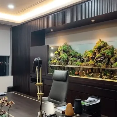 Garden Indoor Landscape Aquascape Home Nature Interior