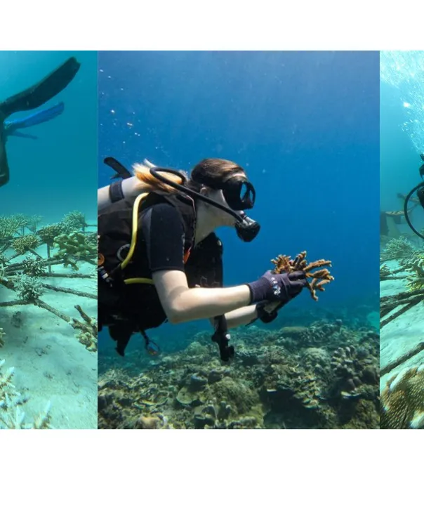 Marine research Nusa Penida